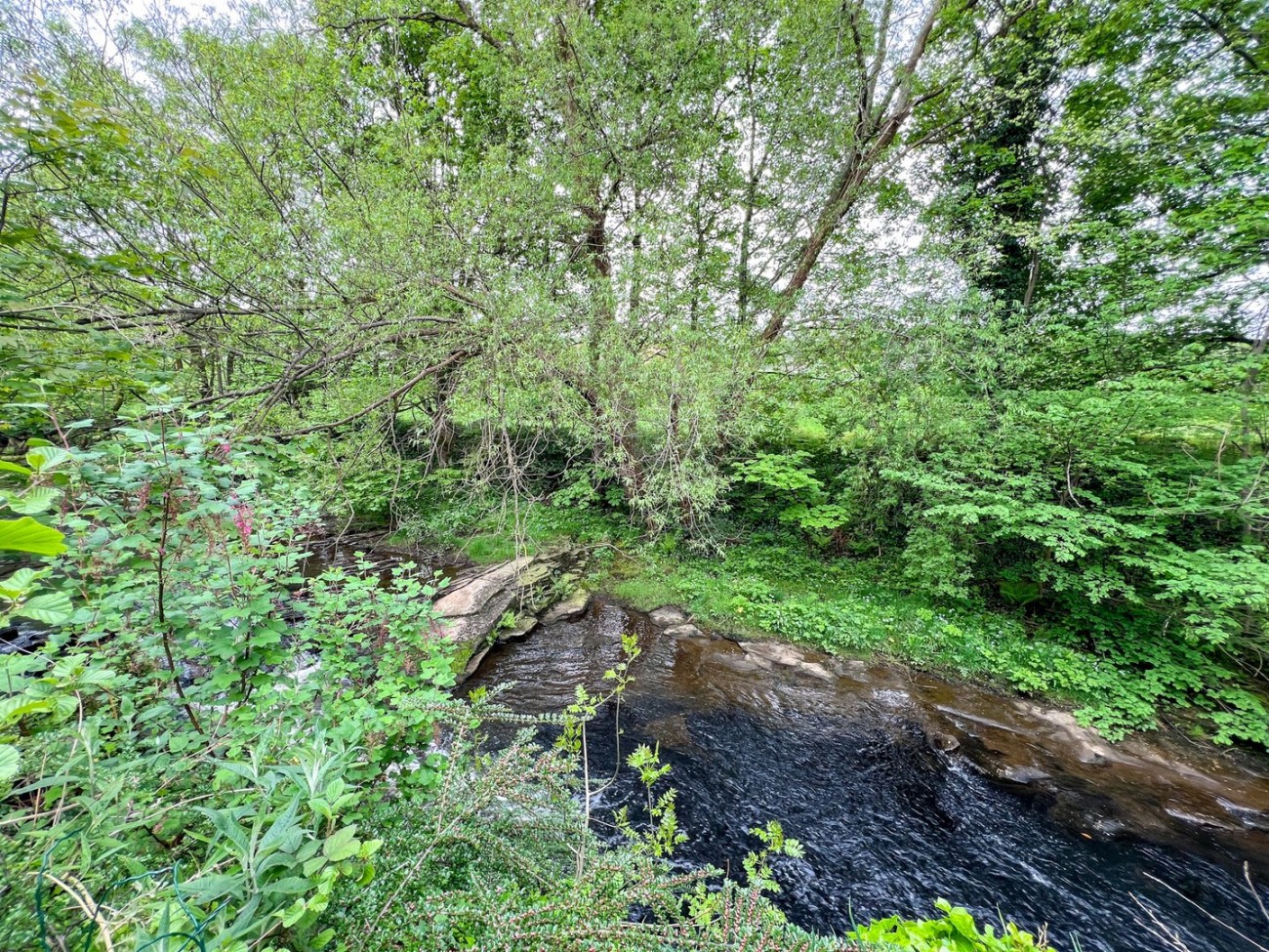 Images for Brockholes, Holmfirth